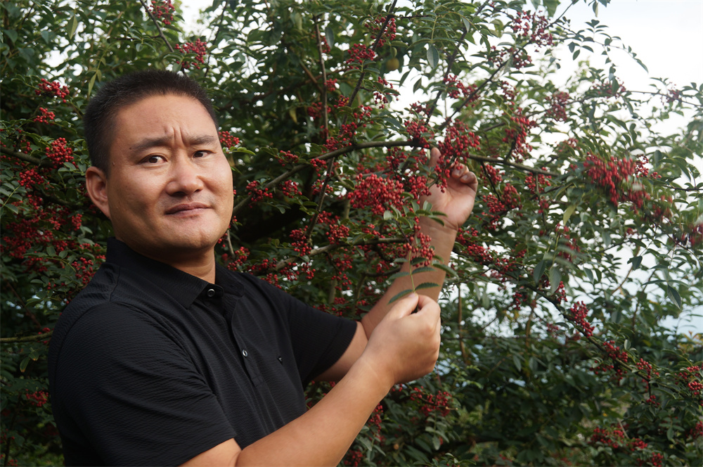 MG电子游戏2022大事记